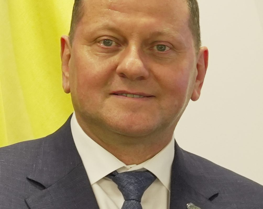 Валерій Залужний: фото для біографії, кар’єри та цікавих фактів